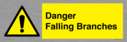 danger-falling-branches~